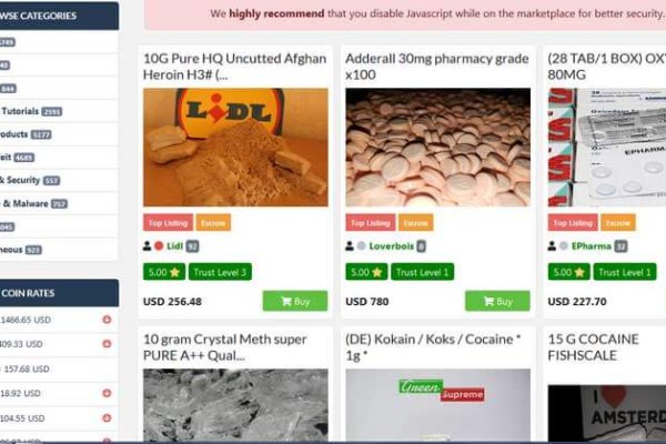 Darknet как войти